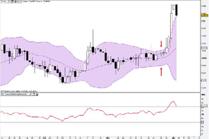 Divisas: euro y corona danesa